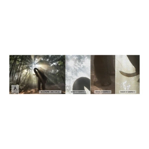 Prøve Fototapet Premium Canvas - Under en lykkelig stjerne - Landskab, Elefant, Jungle - 100x30 cm
