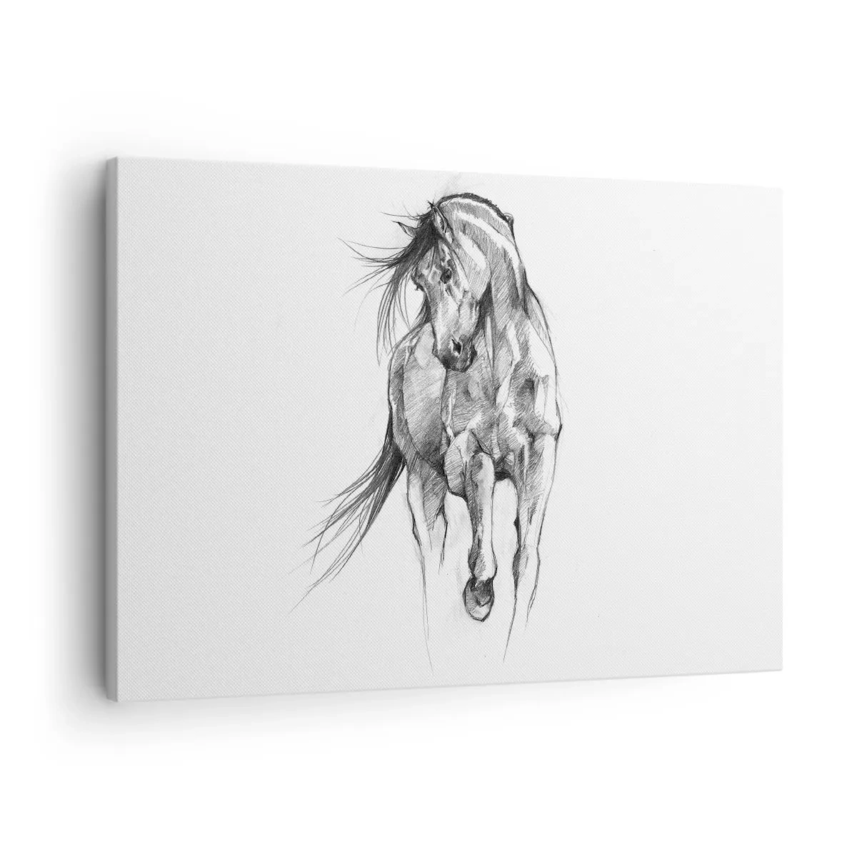 Lærredstryk - Billede på lærred - Sort og hvid skitse af en galoperende hest - 70x50cm - I en yndefuld trav - Moderne vægdekoration til stue og soveværelse ARTTOR