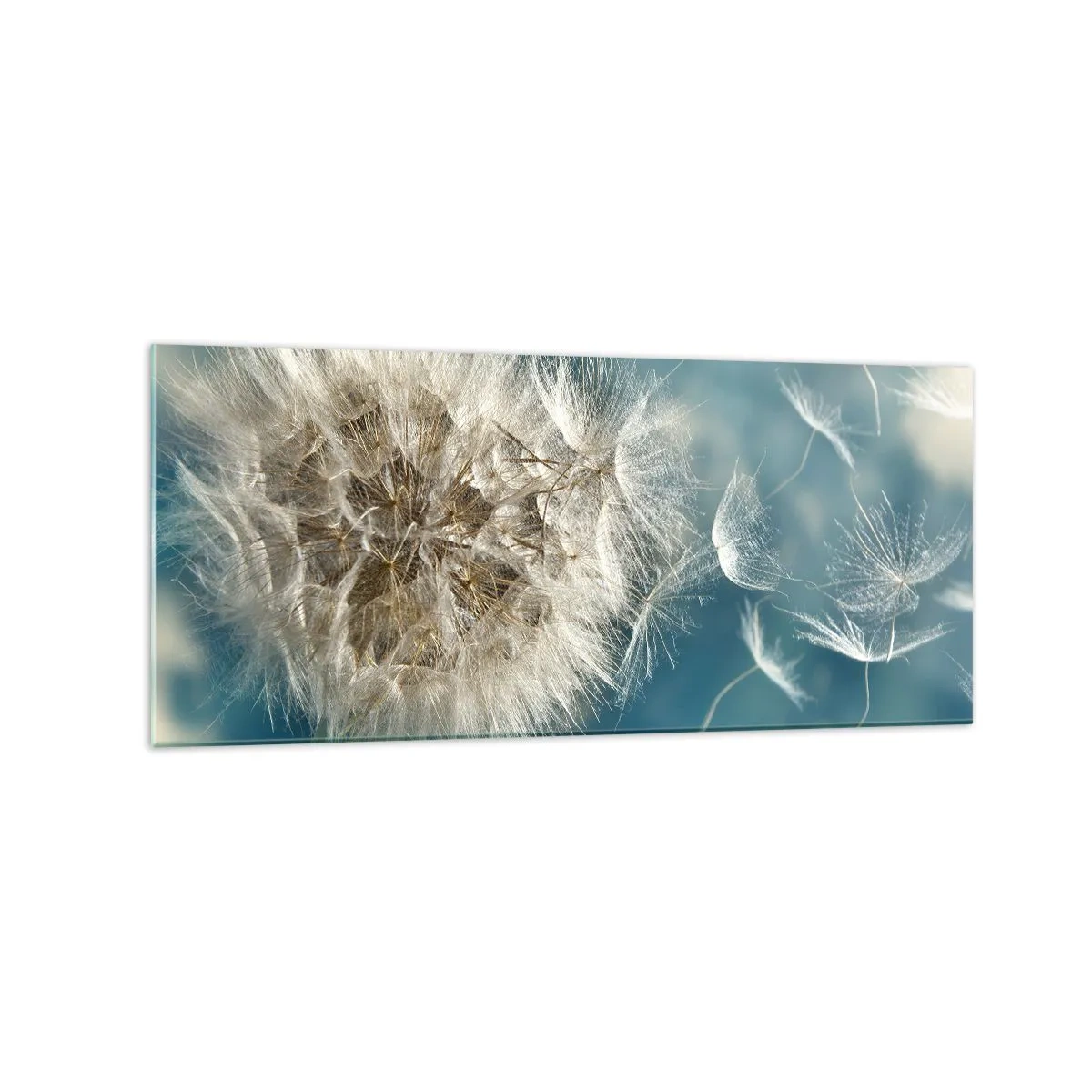 Billede på glas - En engels åndedræt - 120x50 cm