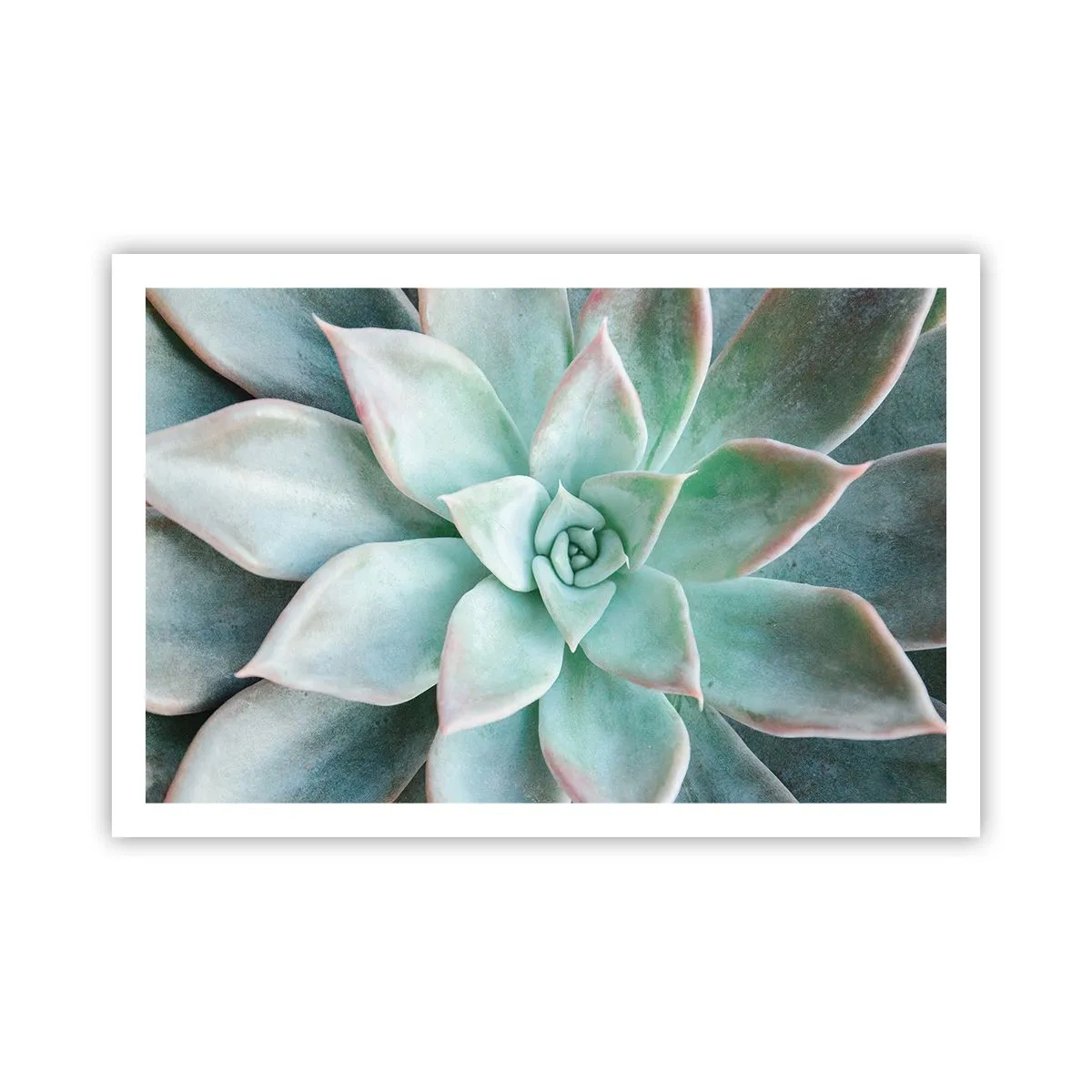 Plakat - Hjertet af ørkenen - 91x61 cm