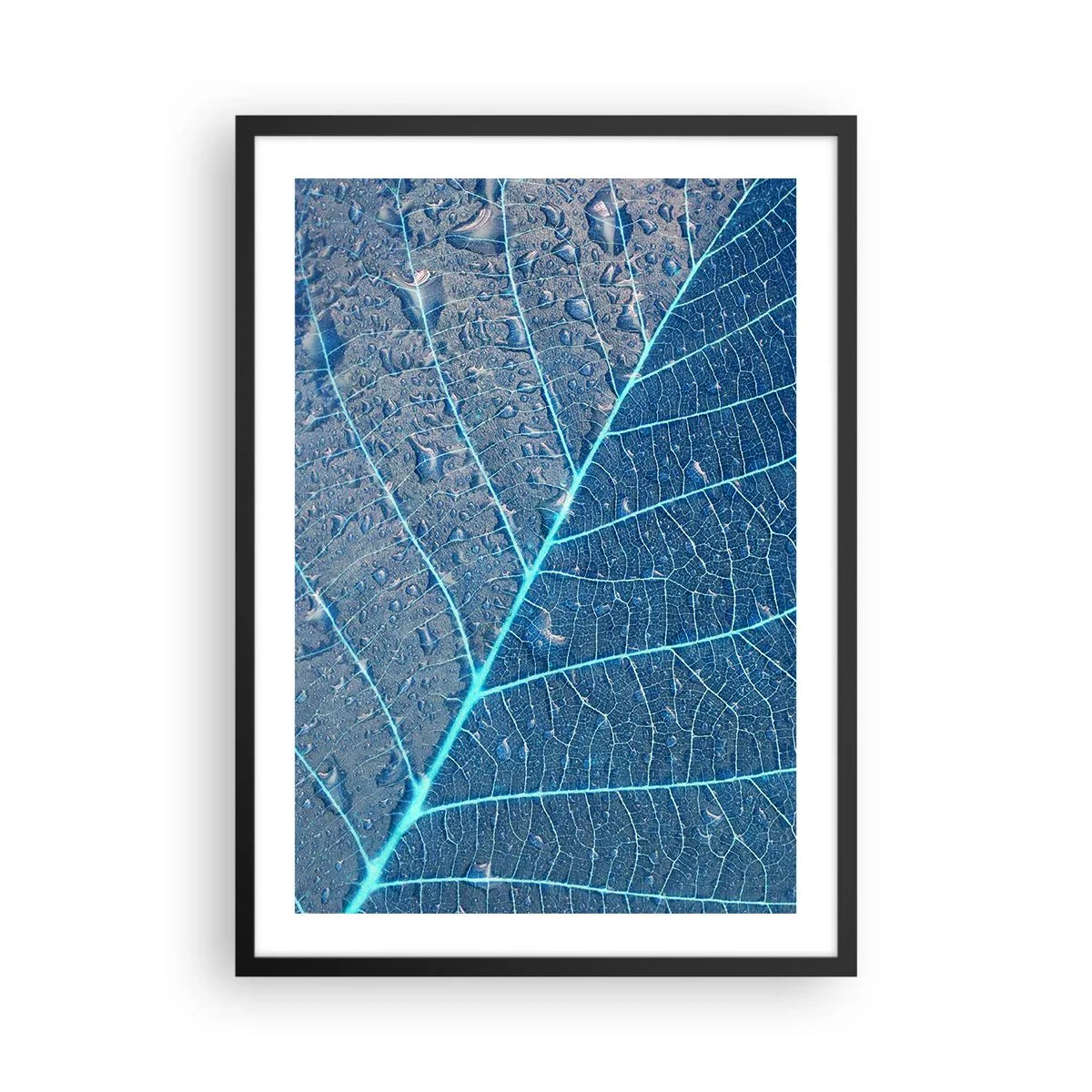 Plakat i sort ramme - Nærbillede af et blad i blå nuancer - 50x70cm - Livet i det blå - Moderne vægdekoration til stue og soveværelse ARTTOR