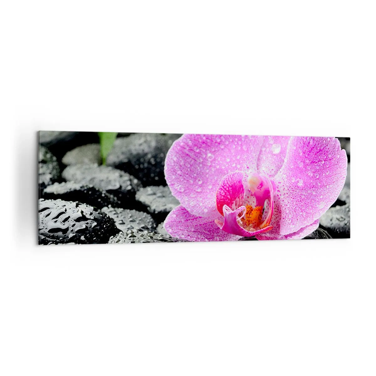 Lærredstryk - Billede på lærred - Som et åbent hjerte - 160x50 cm