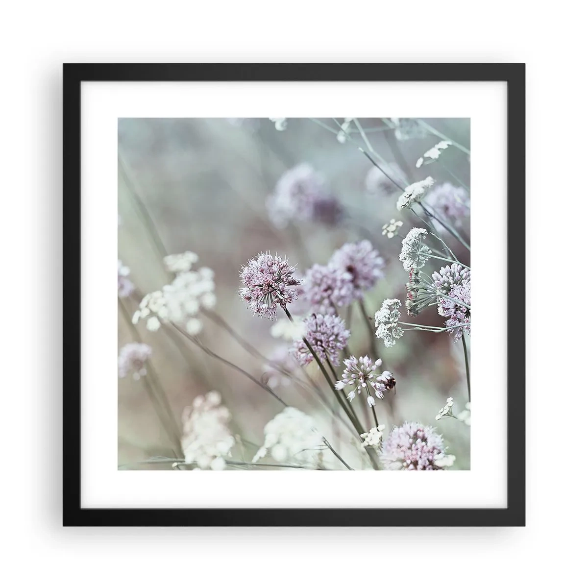 Plakat i sort ramme - Søde filigranurter - 40x40 cm