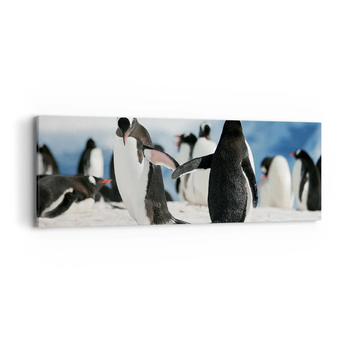 Lærredstryk - Billede på lærred - Danser i sneen - 90x30 cm