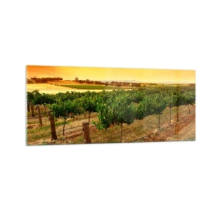 Billede på glas - Drik solen - 100x40 cm