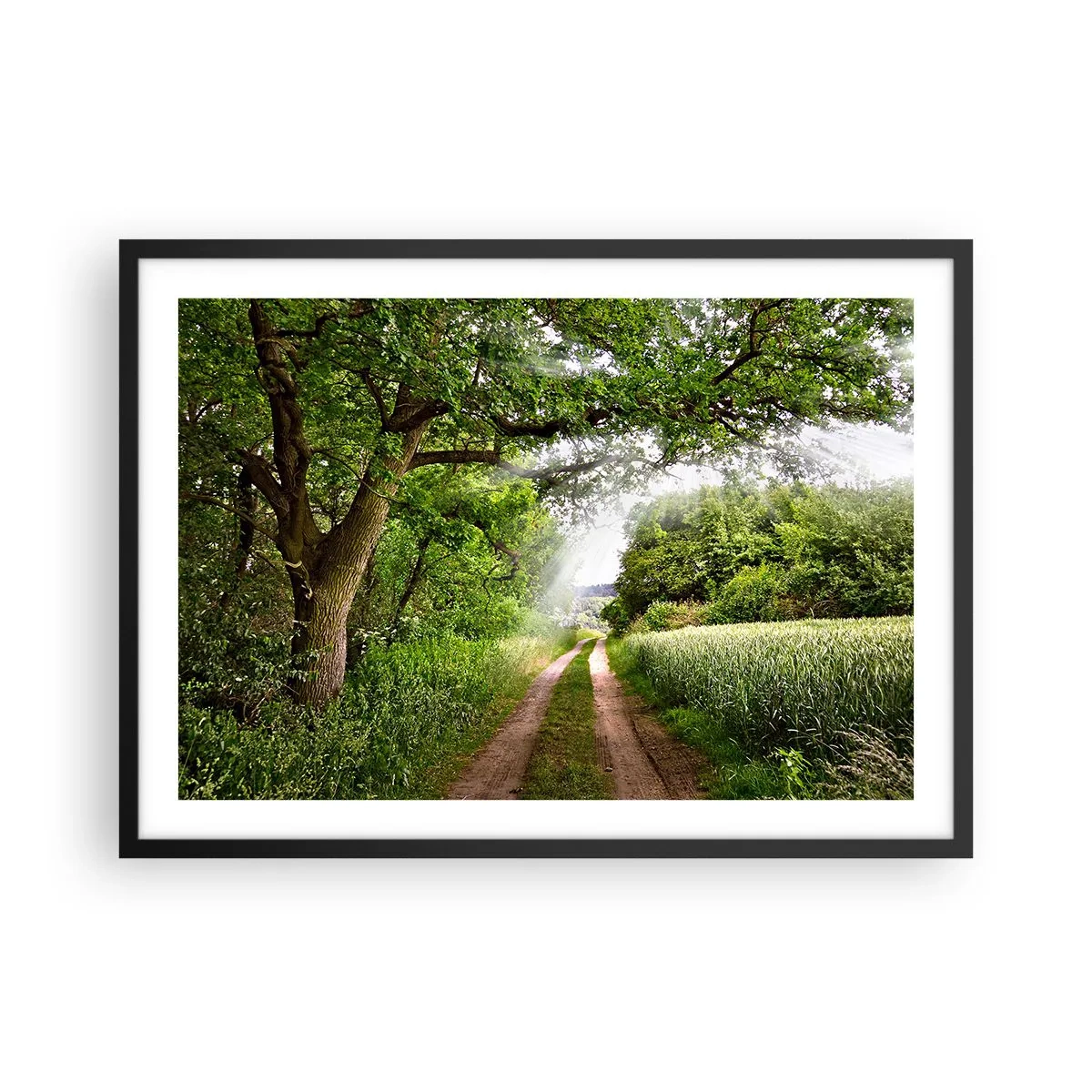 Plakat i sort ramme - Et in Arcadia ego - 70x50 cm