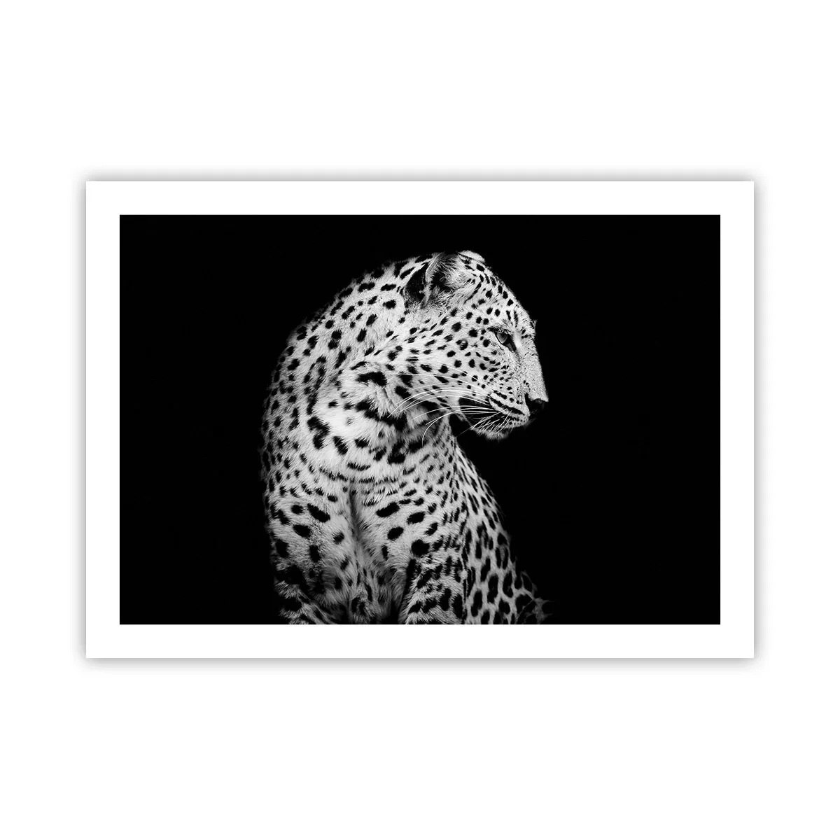 Plakat - Den rigtige profil er perfekt! - 70x50 cm