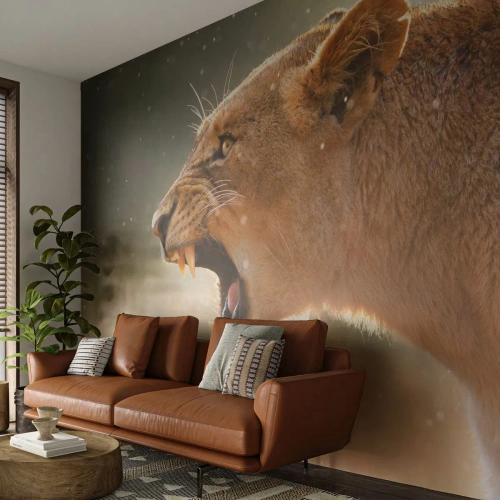 Fototapet Premium Sand - Prøv ikke at lytte - Dyr, Løve, Afrika - 300x210 cm