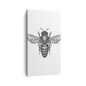 Lærredstryk - Billede på lærred - Portræt af et insekt - 45x80 cm