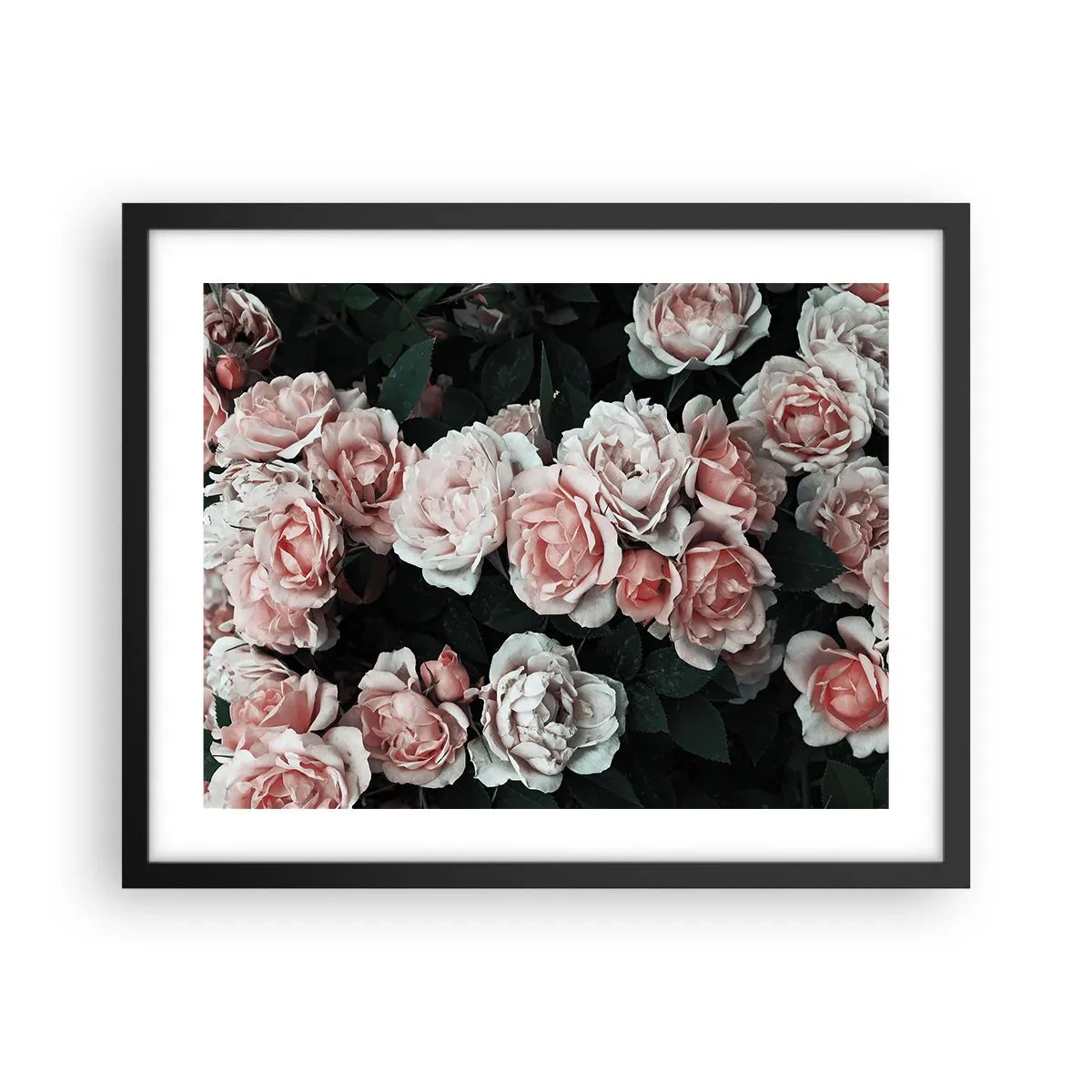 Plakat i sort ramme - Lyserød ansamble - 50x40 cm