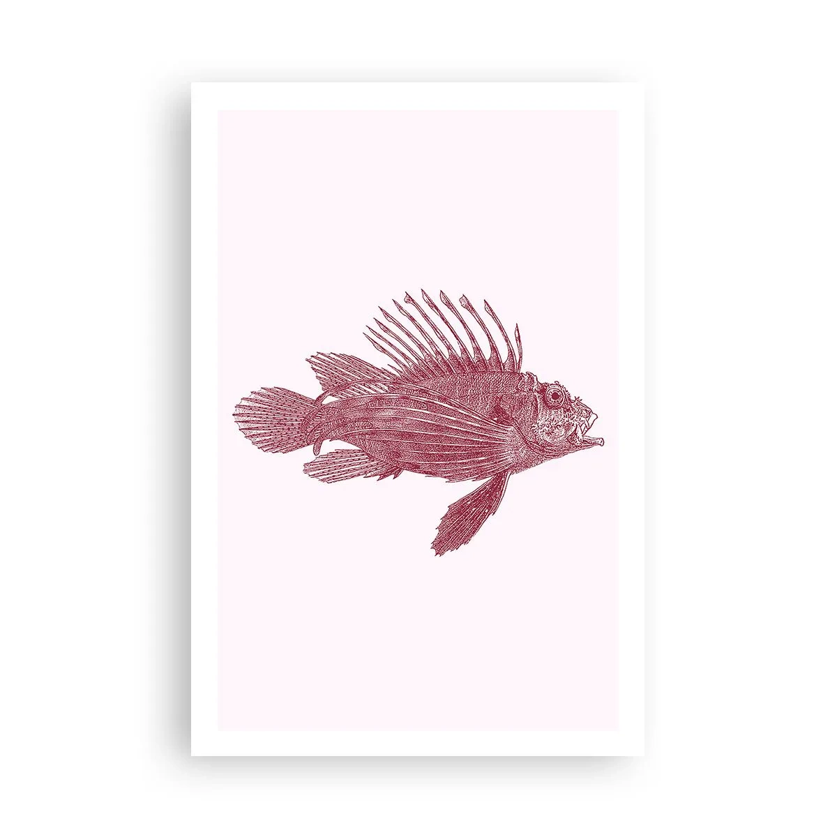 Plakat - En beboer i eksotiske farvande - 61x91 cm