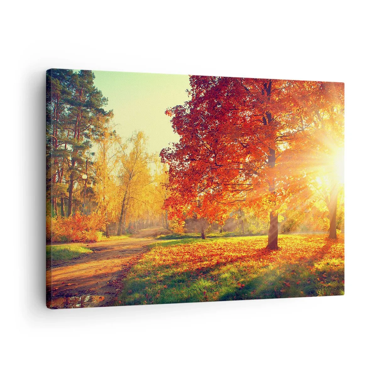 Lærredstryk - Billede på lærred - Efterårspark oplyst af sollys - 70x50cm - Rød er smuk - Moderne vægdekoration til stue og soveværelse ARTTOR