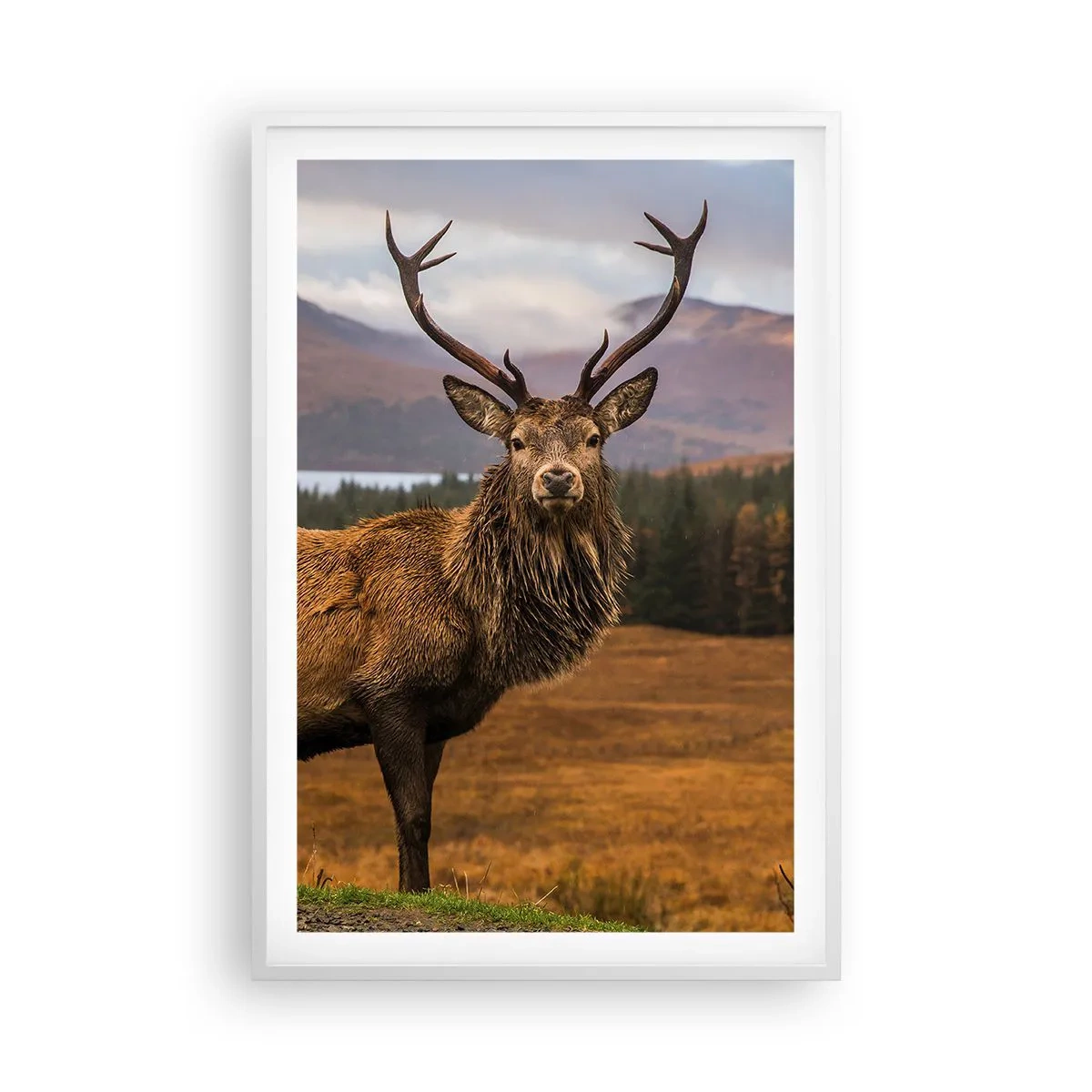 Plakat i hvid ramme - Naturens majestæt - 61x91 cm