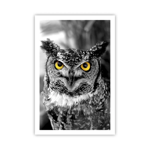 Plakat - Intet kan skjules - 61x91 cm