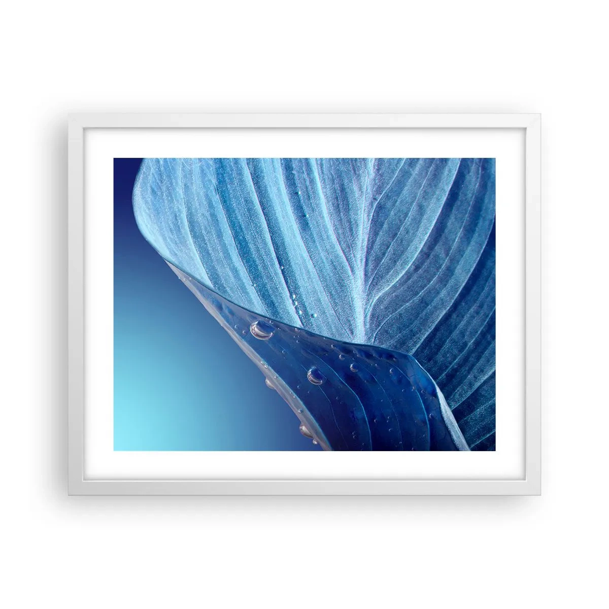 Plakat i hvid ramme - Skjulte dråber af blåt - 50x40 cm