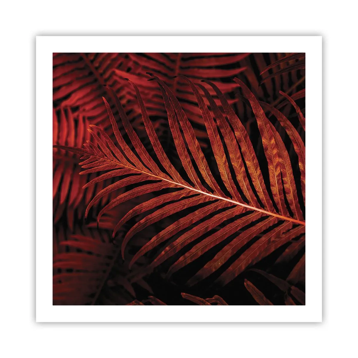 Plakat - Livets varme - 60x60 cm