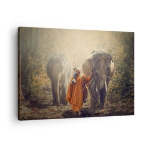Lærredstryk - Billede på lærred - En munk i en orange kåbe leder en elefant i skoven. - 70x50cm - Fuld forståelse - Moderne vægdekoration til stue og soveværelse ARTTOR