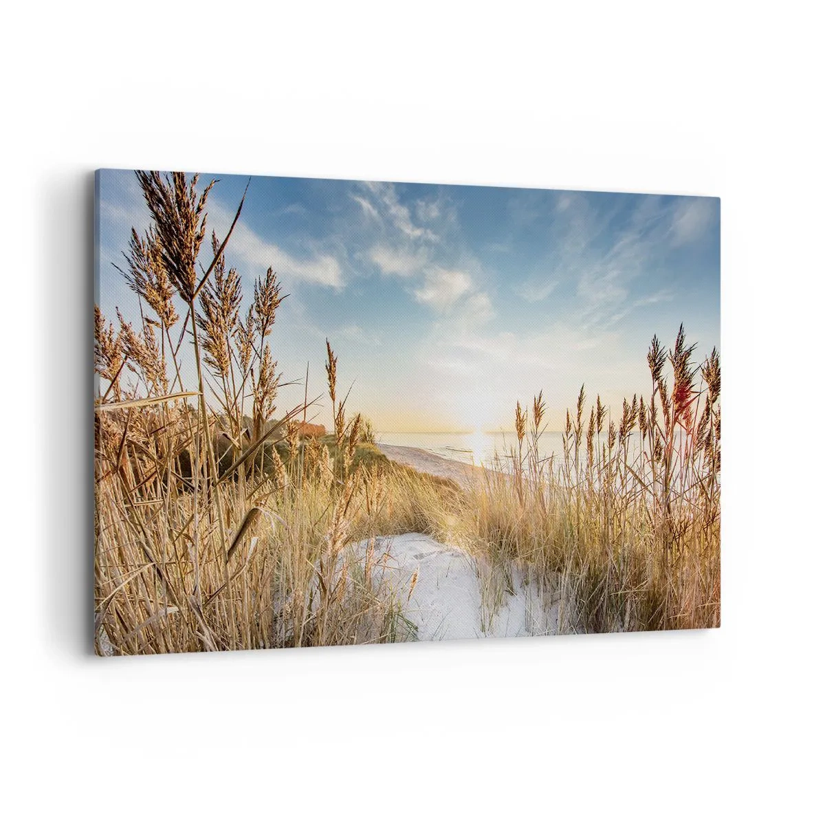 Lærredstryk - Billede på lærred - Nordstrand - 120x80 cm