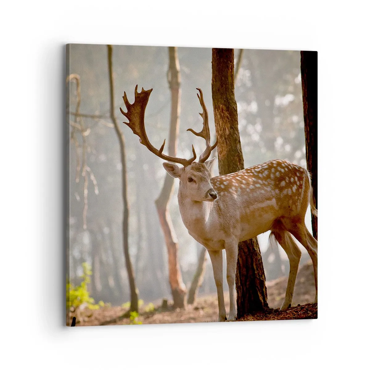 Lærredstryk - Billede på lærred - Ungdommens lys - 70x70 cm