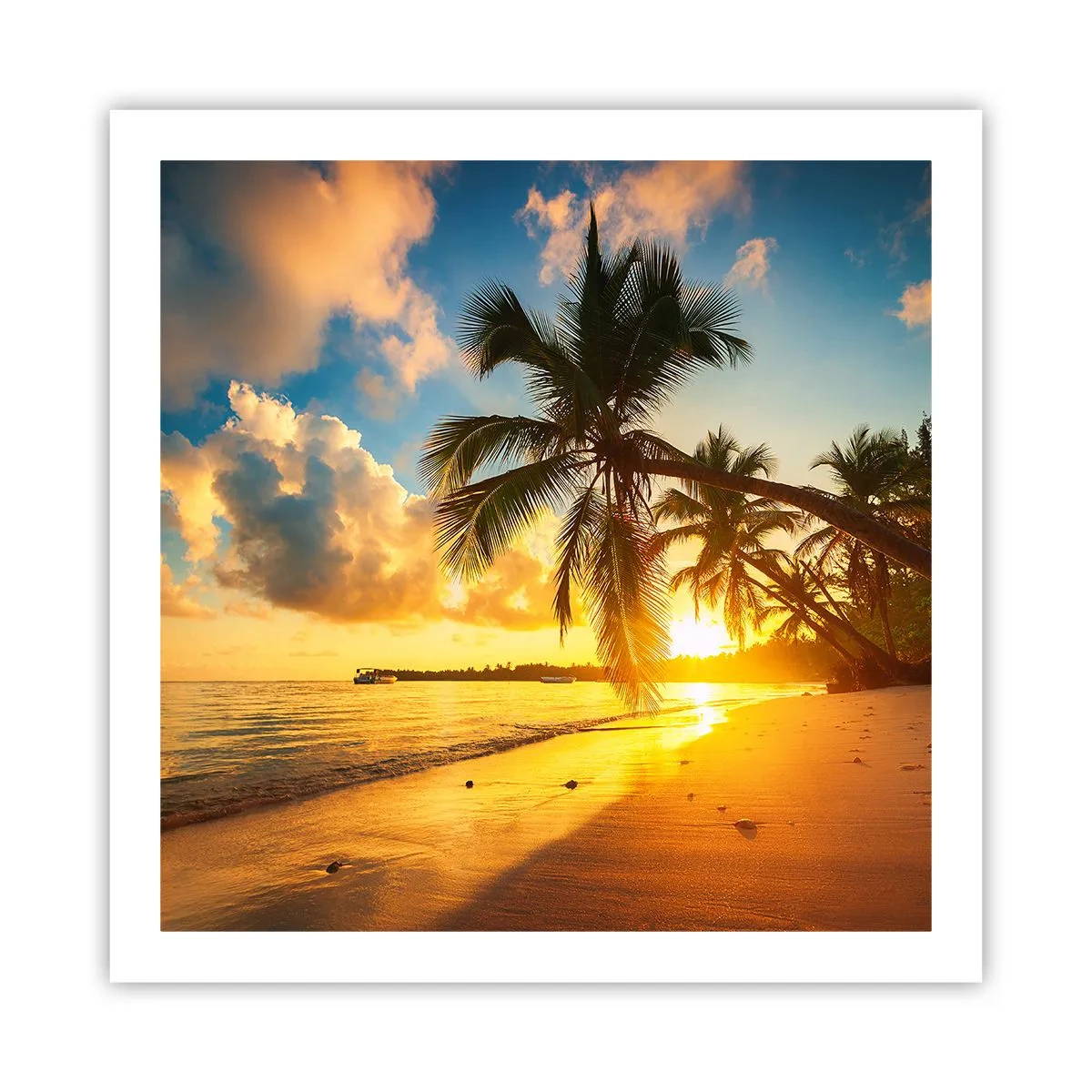 Plakat - Caribisk drøm - 60x60 cm