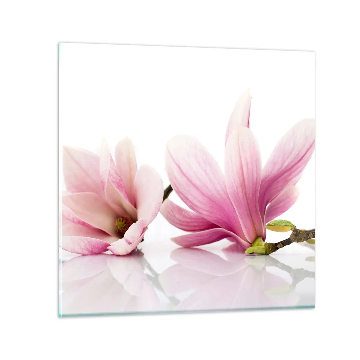 Billede på glas - Blød som et åndedrag af forår - 50x50 cm
