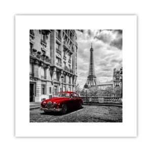 Plakat - Rovdyr i byen - 30x30 cm