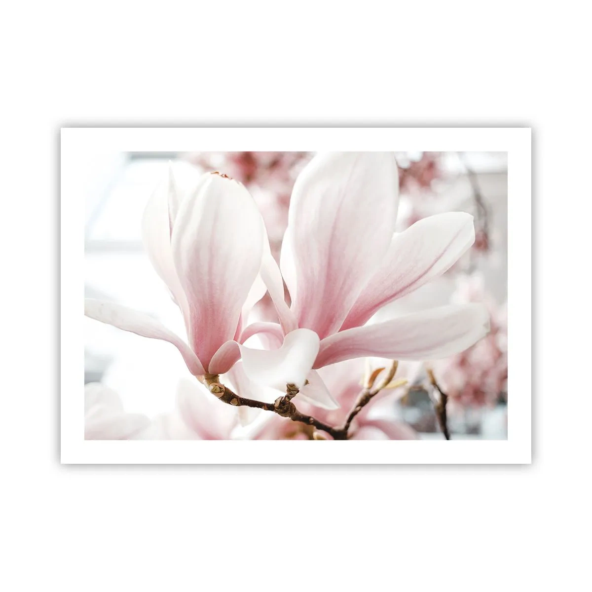 Plakat - Ømhedens umådelighed - 70x50 cm