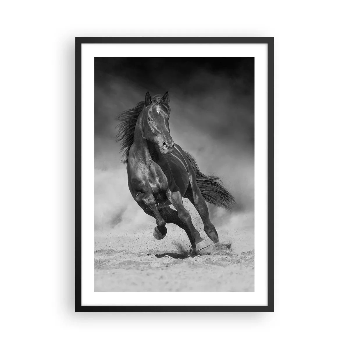 Plakat i sort ramme - En mørk hest i et dynamisk løb - 50x70cm - Værdig til emiren selv - Moderne vægdekoration til stue og soveværelse ARTTOR