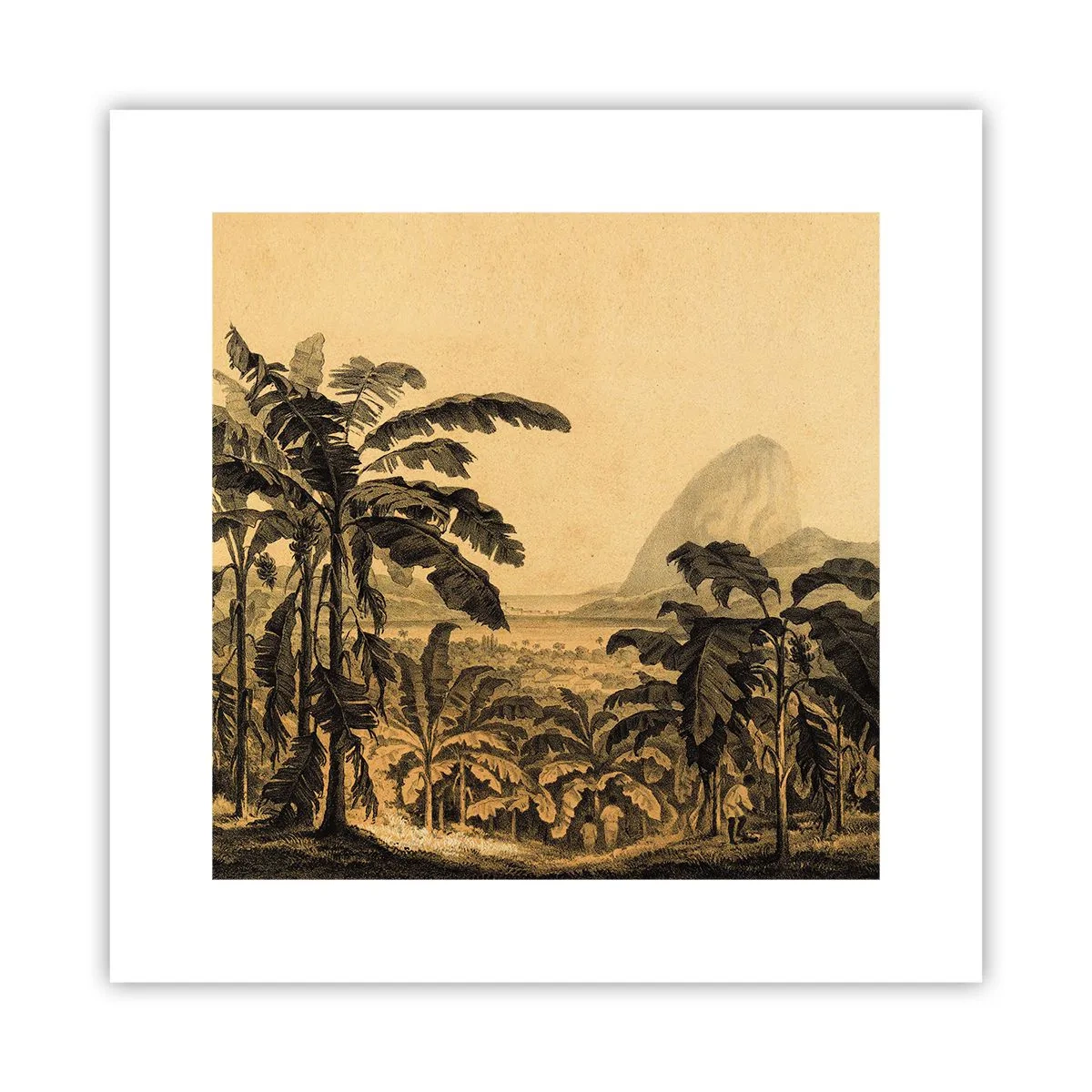 Plakat - I en kolonial atmosfære - 30x30 cm
