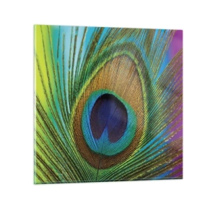 Billede på glas - Øje mod øje - 70x70 cm