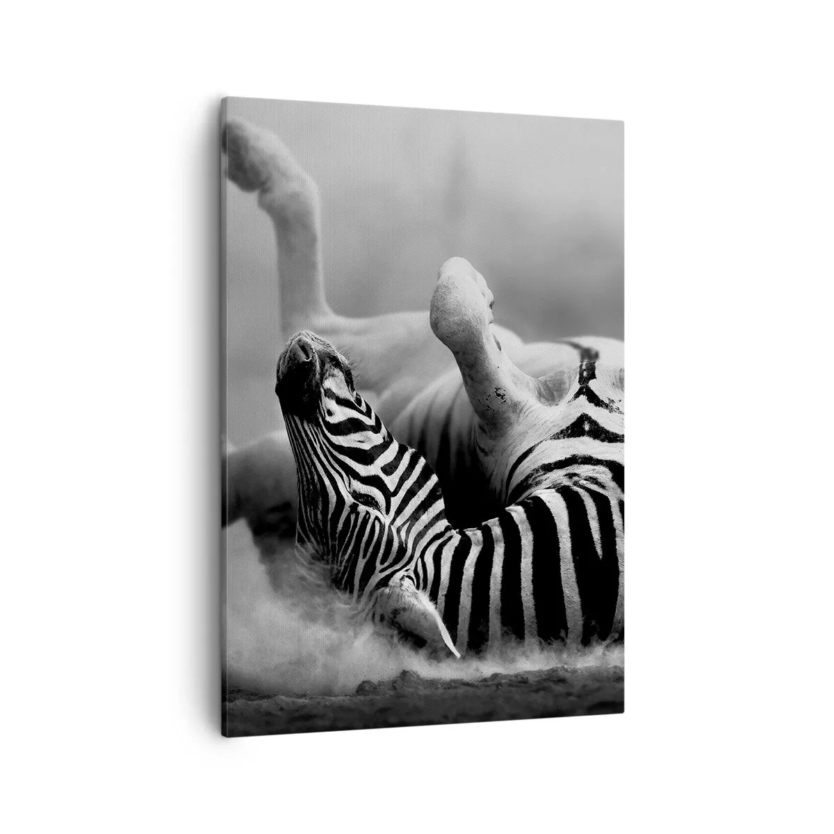 Lærredstryk - Billede på lærred - Ikke kun en hest ville grine - 50x70 cm