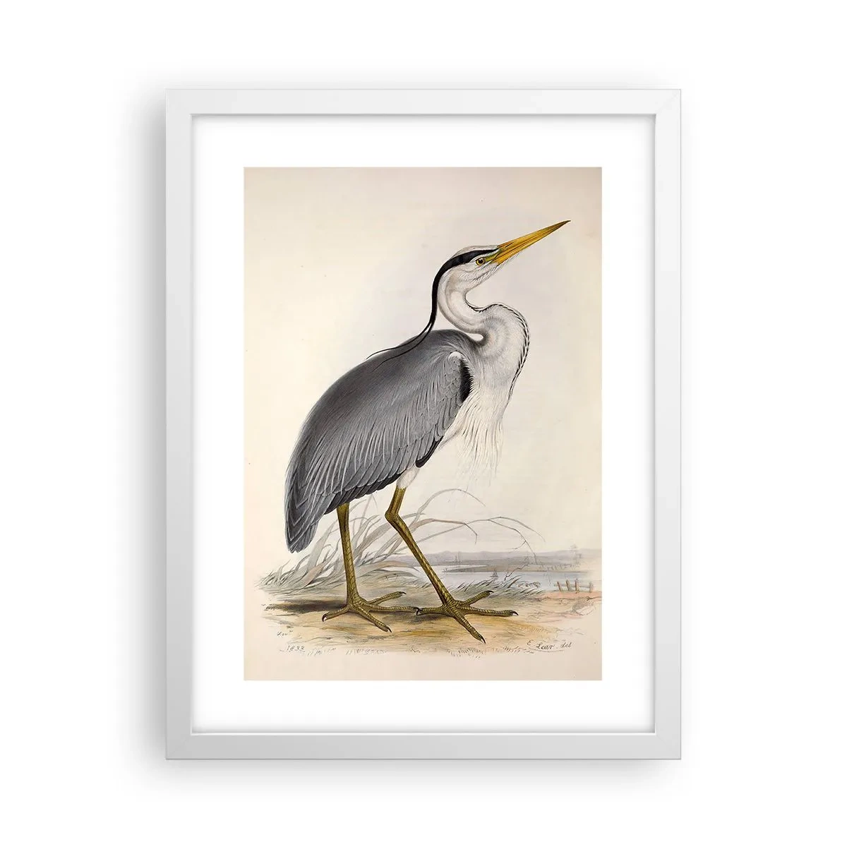 Plakat i hvid ramme - Fiskehejre-charme - 30x40 cm