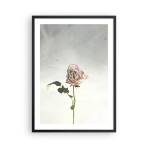 Plakat i sort ramme - En diskret rose mod en sart himmel - 50x70cm - Velkomst til foråret - Moderne vægdekoration til stue og soveværelse ARTTOR