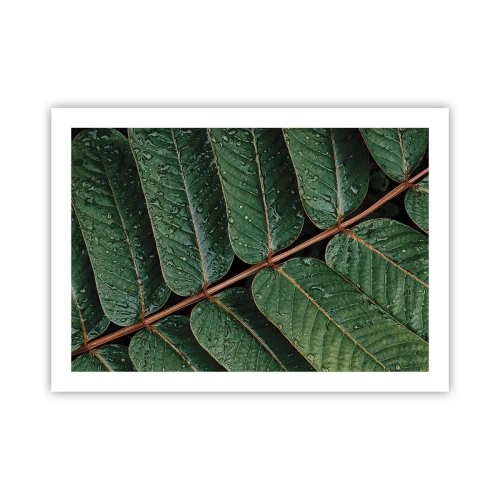 Plakat - I en grøn rytme - 70x50 cm