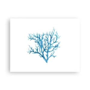 Plakat - Marint filigran - 40x30 cm