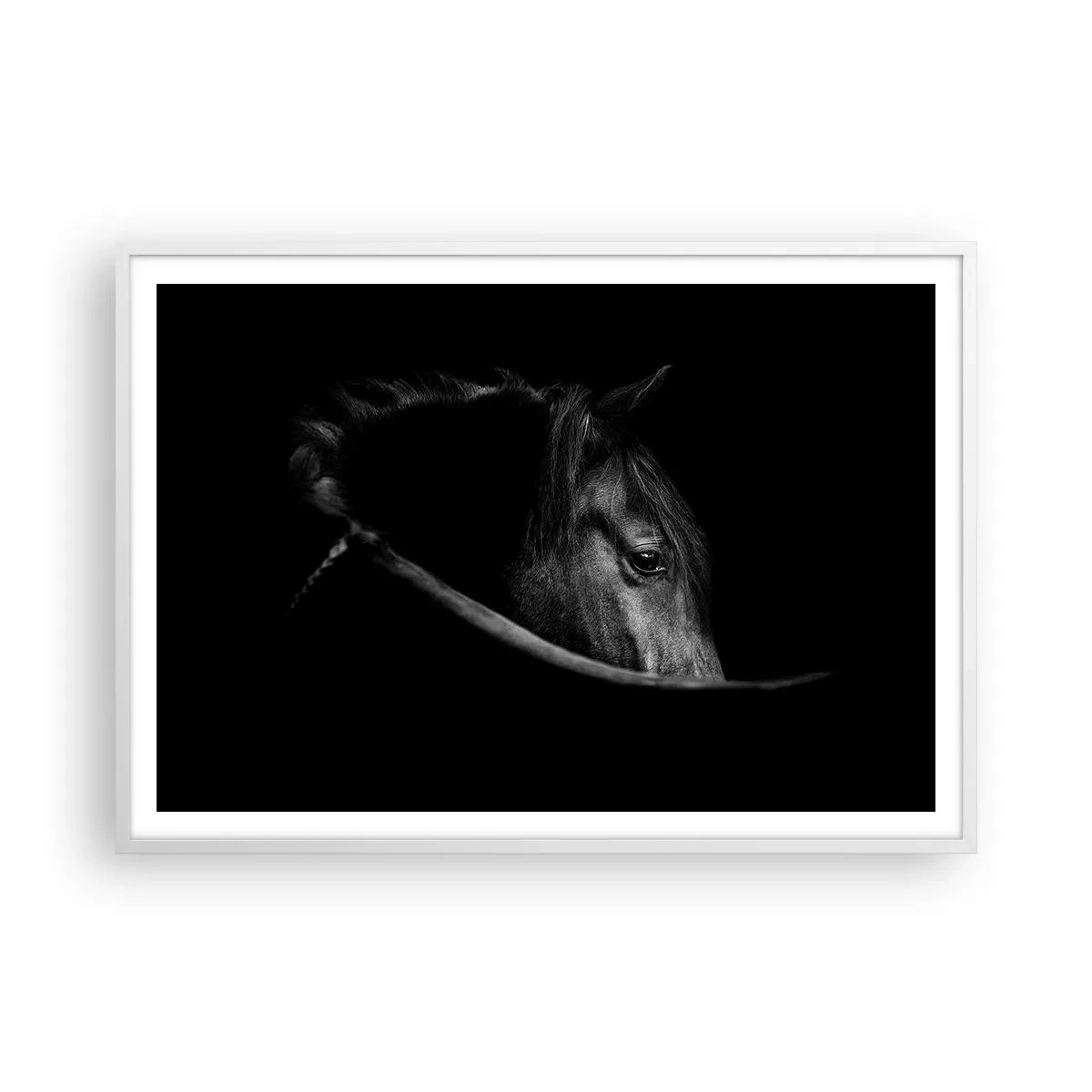 Plakat i hvid ramme - Sort prins - 100x70 cm