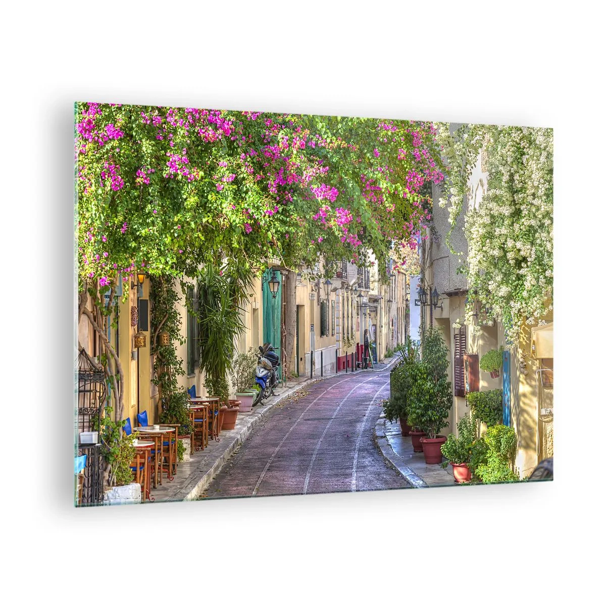 Billede på glas - En charmerende gade med blomstrende træer - 70x50cm - En blomstrende gyde - Moderne vægdekoration til stue og soveværelse ARTTOR