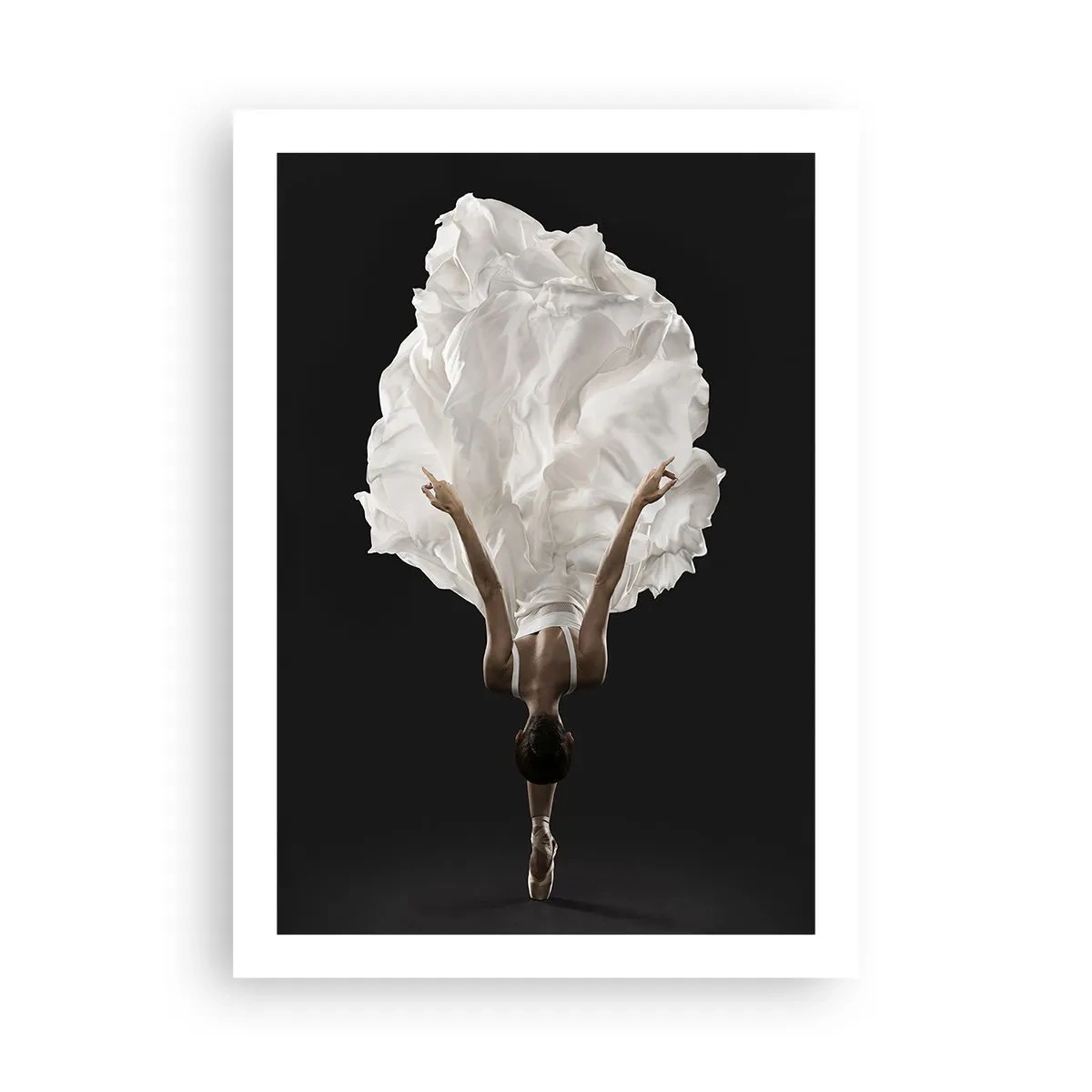 Plakat - Usædvanlige baner - 50x70 cm