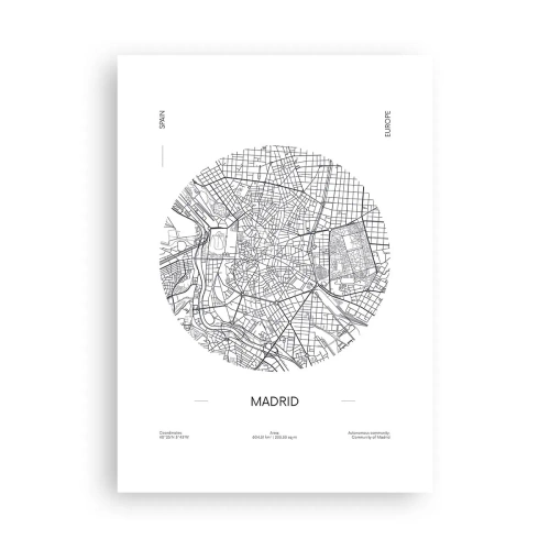 Plakat - Madrids anatomi - 50x70 cm