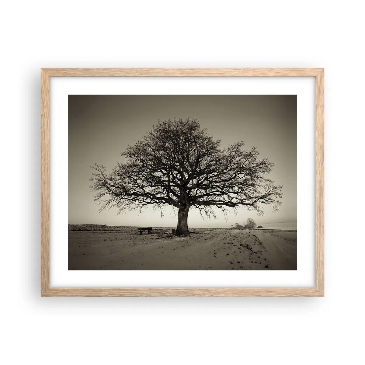Plakat i ramme af lyst egetræ - Herfra og til evigheden - 50x40 cm