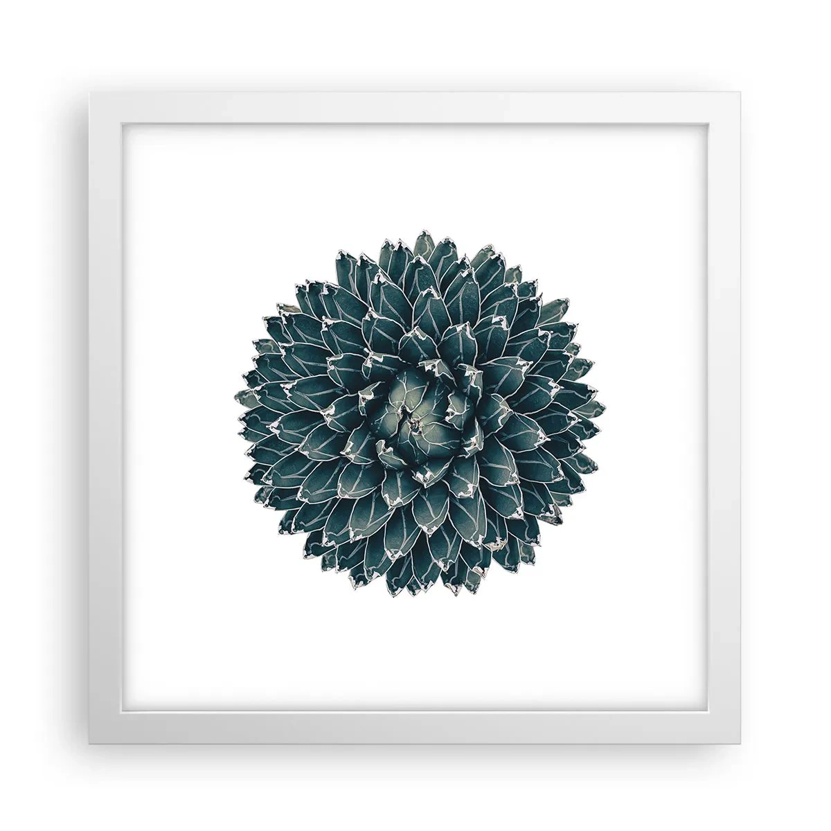 Plakat i hvid ramme - Ørkenstjerne - 30x30 cm