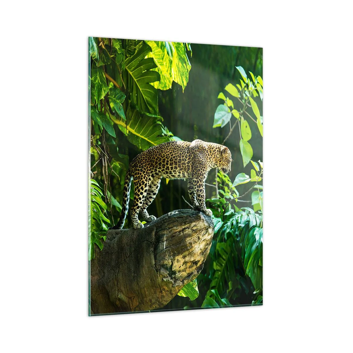 Billede på glas - Til jagt? - 50x70 cm