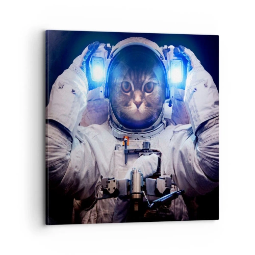 Lærredstryk - Billede på lærred - Houston, I har et problem - 70x70 cm