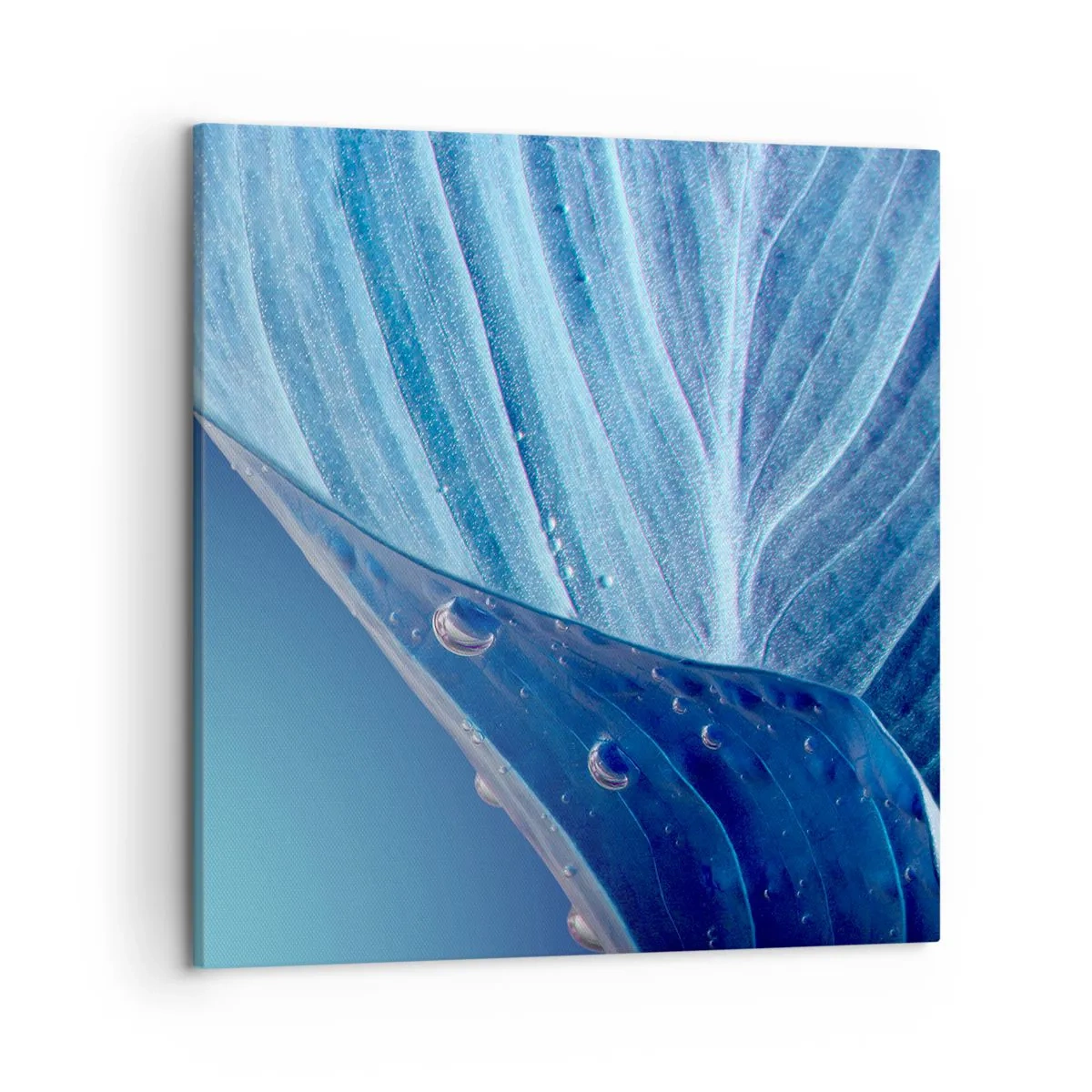 Lærredstryk - Billede på lærred - Skjulte dråber af blåt - 50x50 cm