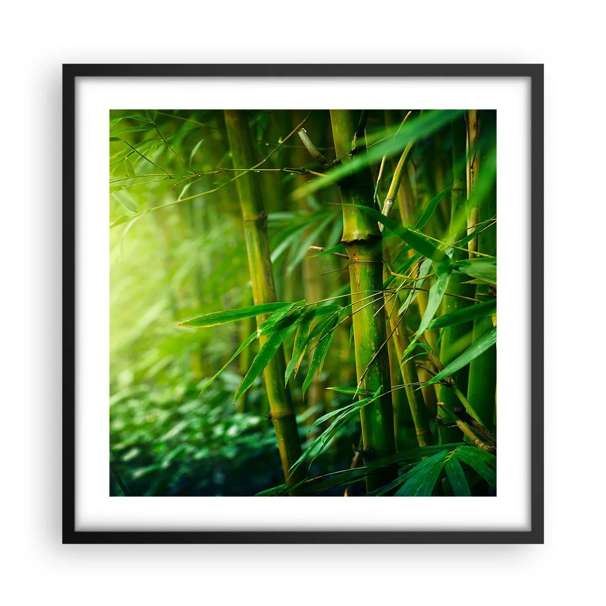 Plakat i sort ramme - Lær selve det grønne at kende - 50x50 cm