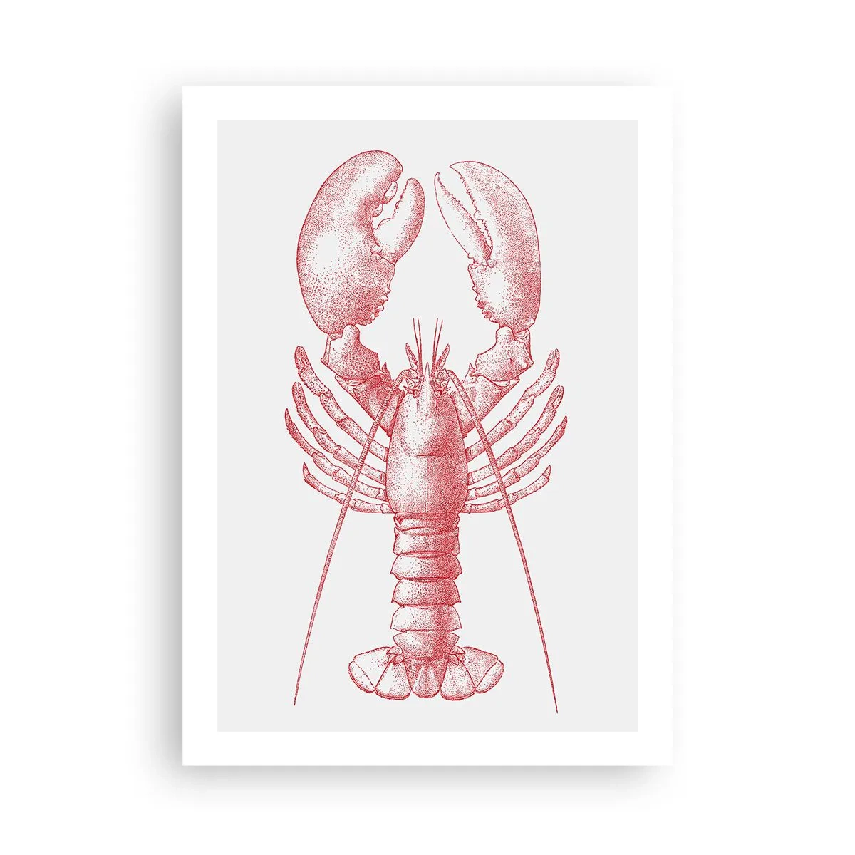 Plakat - Hummer, der er Homer værdig - 50x70 cm