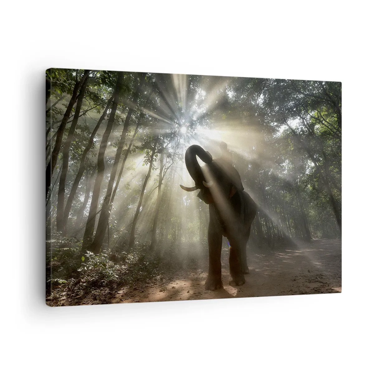 Lærredstryk - Billede på lærred - En elefant i skoven omgivet af lysstråler i morgentågen - 70x50cm - Under en lykkelig stjerne - Moderne vægdekoration til stue og soveværelse ARTTOR