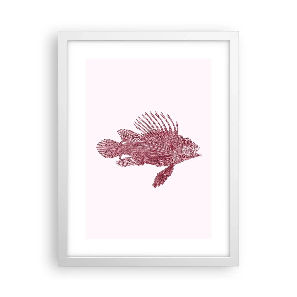 Plakat i hvid ramme - En beboer i eksotiske farvande - 30x40 cm