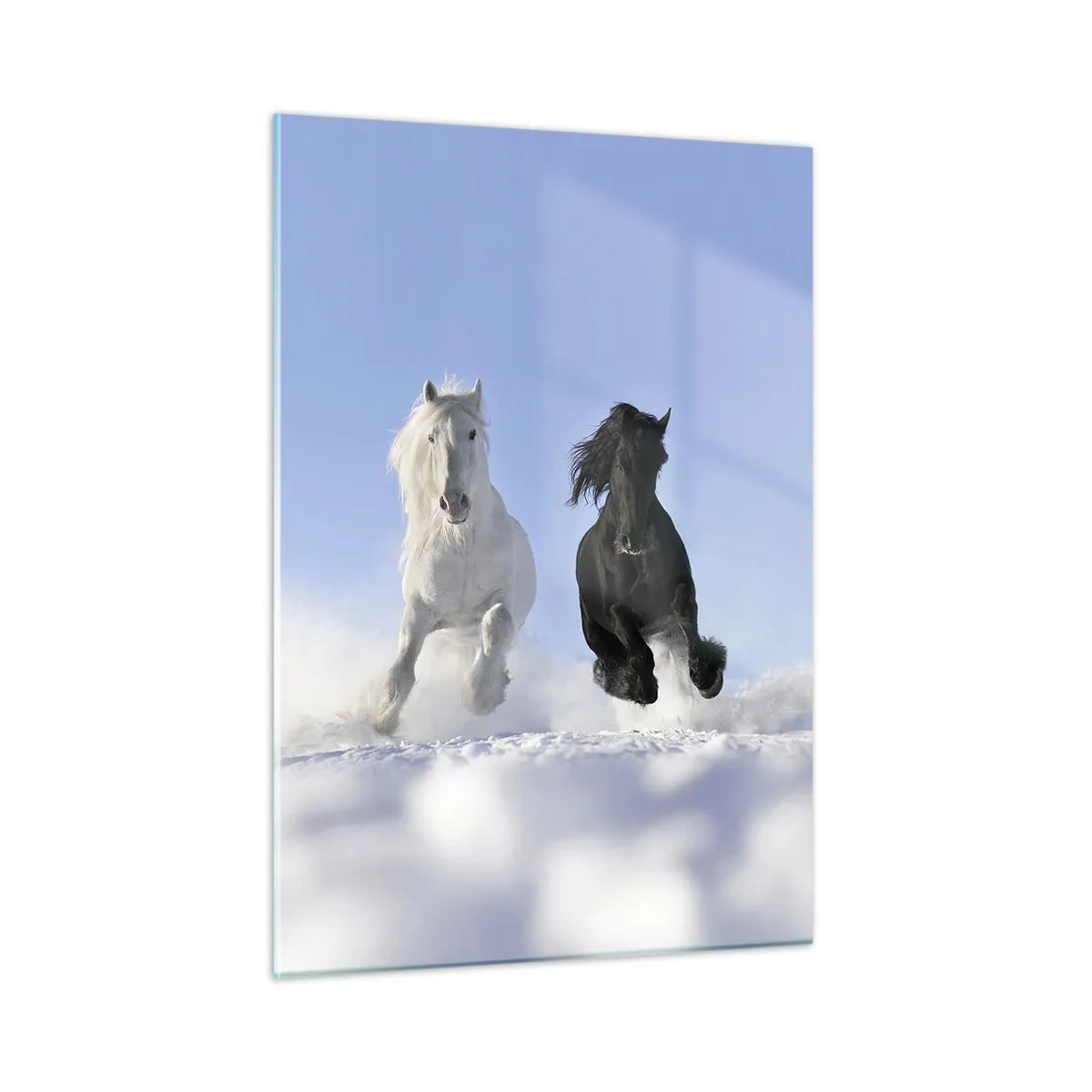 Billede på glas - Sort og hvid galop - 50x70 cm