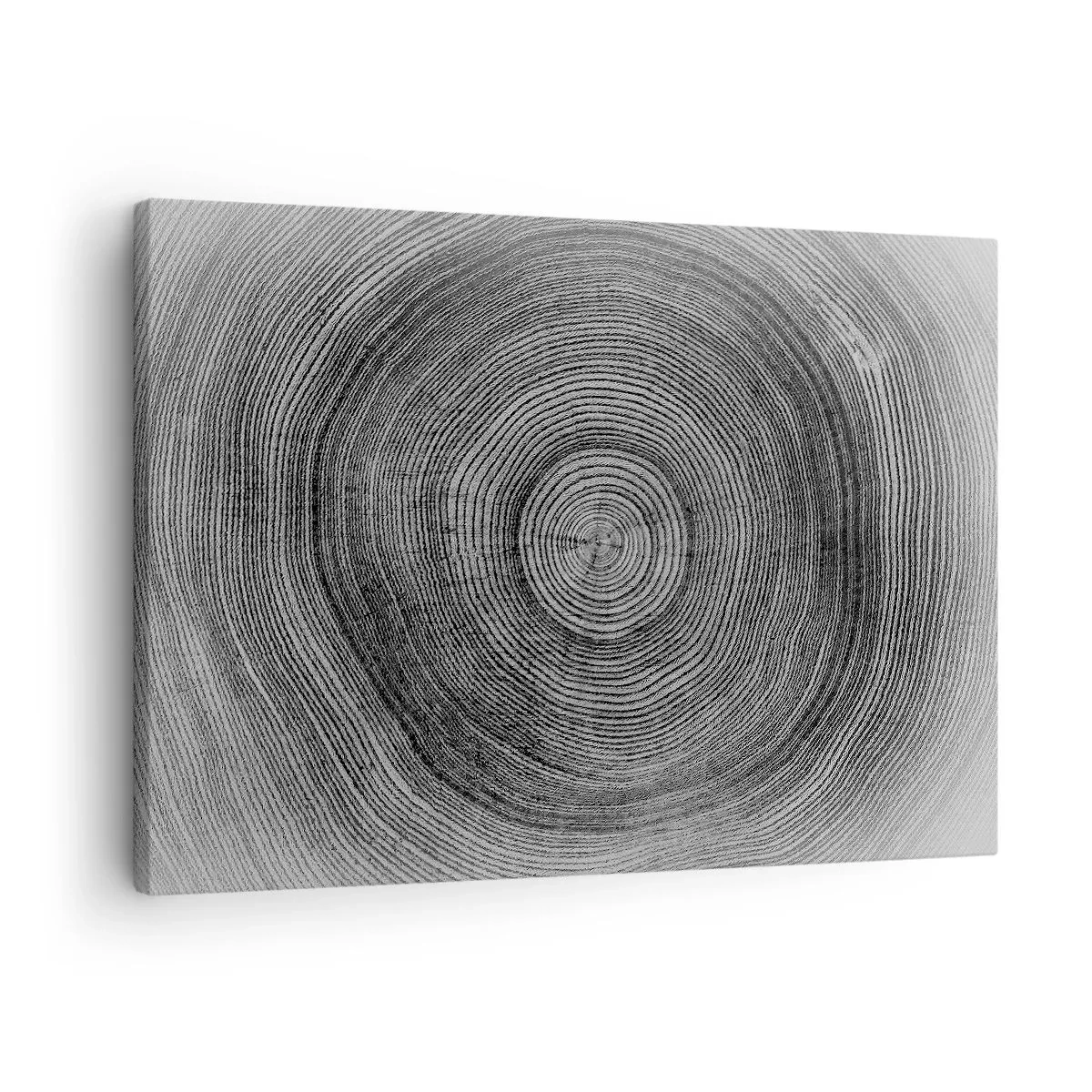 Lærredstryk - Billede på lærred - Sort-hvidt træringmønster, der viser et tværsnit af stammen - 70x50cm - Et tegn på tiden - Moderne vægdekoration til stue og soveværelse ARTTOR